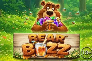 Playtech : Bear Buzz - TURBOBET168