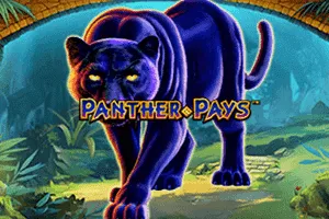 Playtech : Panther Pays - TURBOBET168
